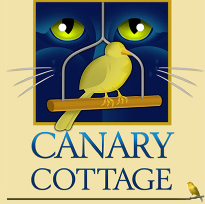 Capturing cozy spaces